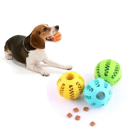Interactive Dental Treat Ball for Dogs