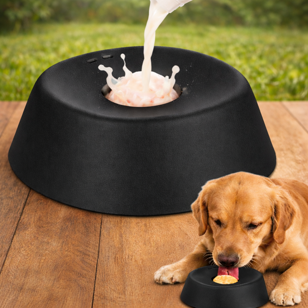 Interactive Lick Treat Dog Bowl